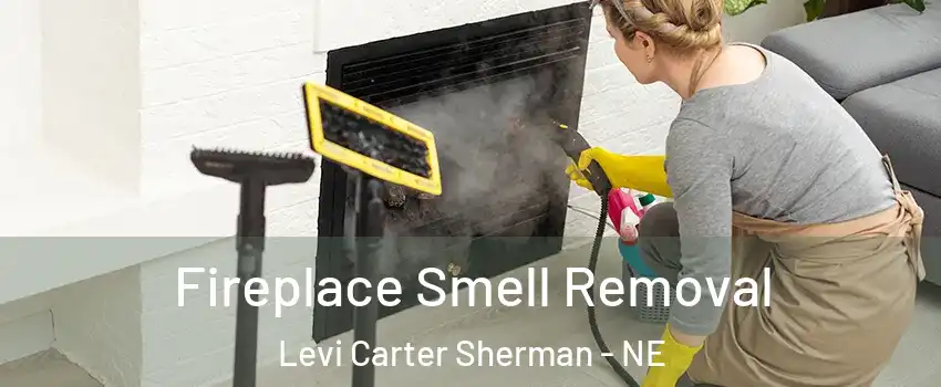 Fireplace Smell Removal Levi Carter Sherman - NE
