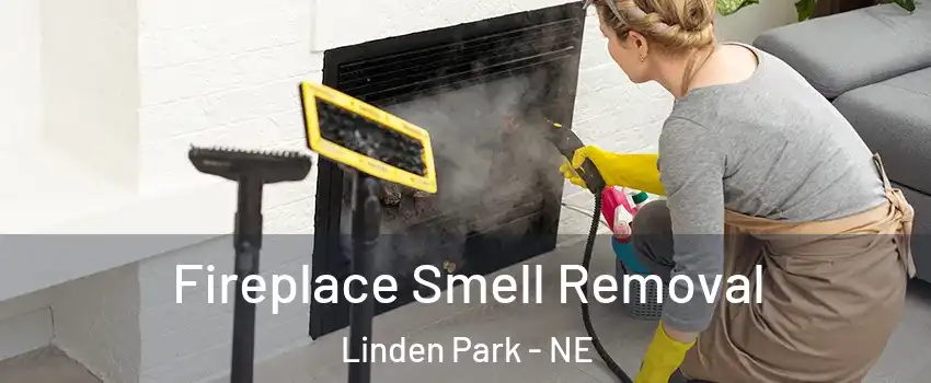 Fireplace Smell Removal Linden Park - NE