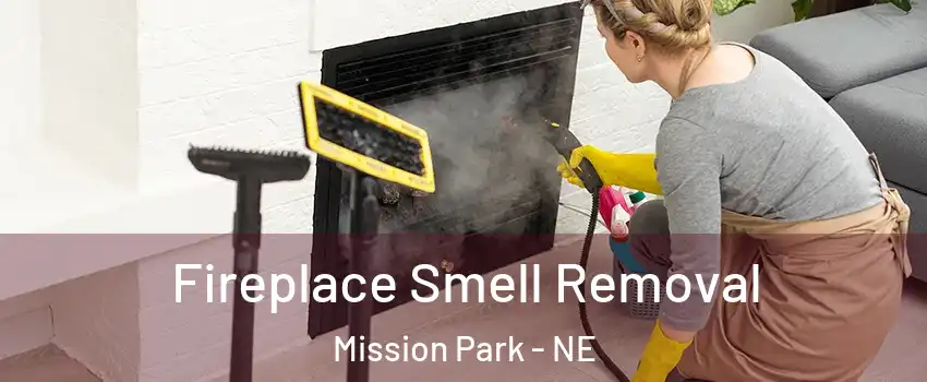 Fireplace Smell Removal Mission Park - NE