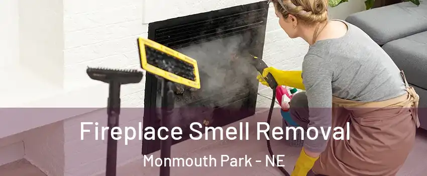 Fireplace Smell Removal Monmouth Park - NE