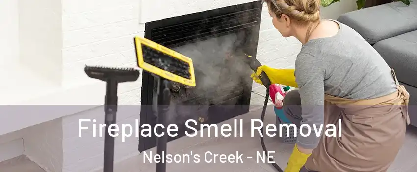 Fireplace Smell Removal Nelson's Creek - NE