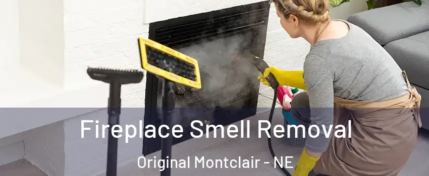 Fireplace Smell Removal Original Montclair - NE