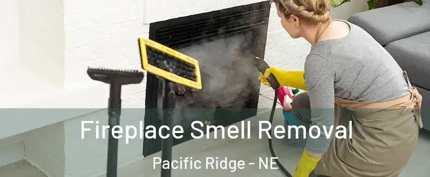 Fireplace Smell Removal Pacific Ridge - NE
