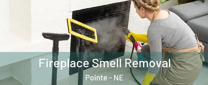Fireplace Smell Removal Pointe - NE