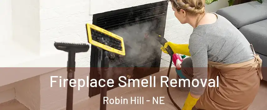 Fireplace Smell Removal Robin Hill - NE