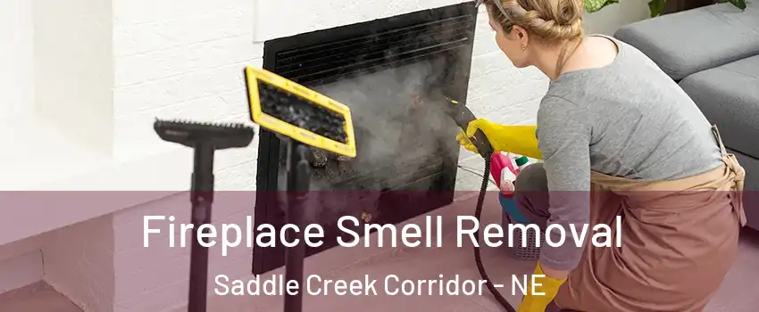 Fireplace Smell Removal Saddle Creek Corridor - NE