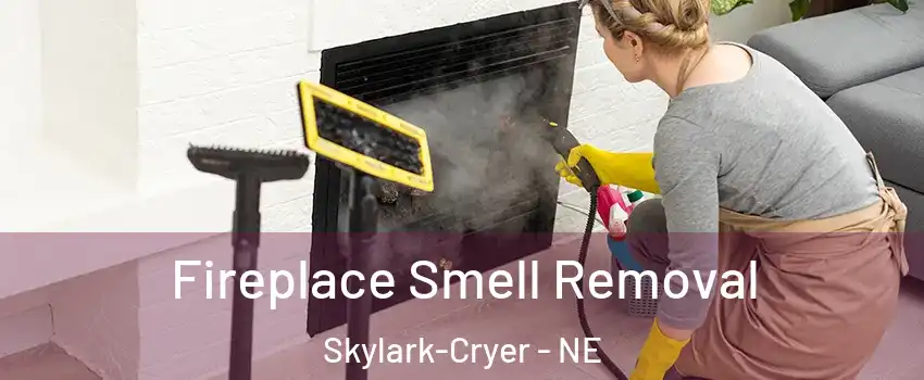 Fireplace Smell Removal Skylark-Cryer - NE