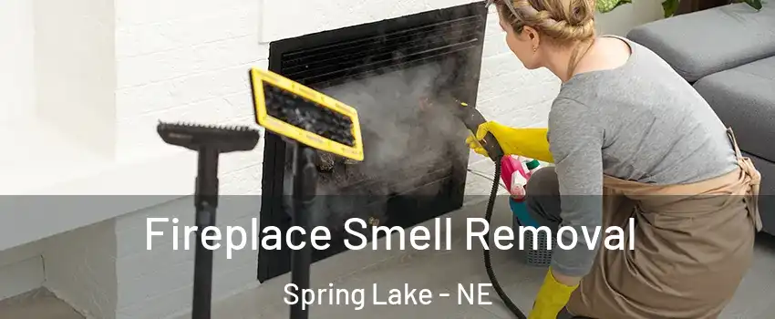 Fireplace Smell Removal Spring Lake - NE
