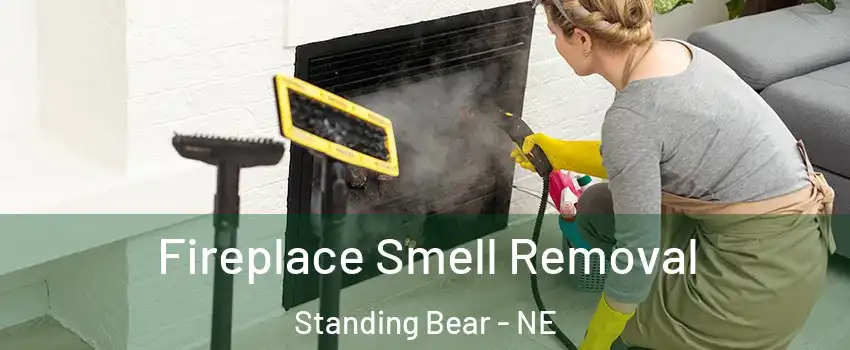Fireplace Smell Removal Standing Bear - NE