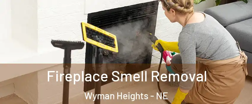 Fireplace Smell Removal Wyman Heights - NE