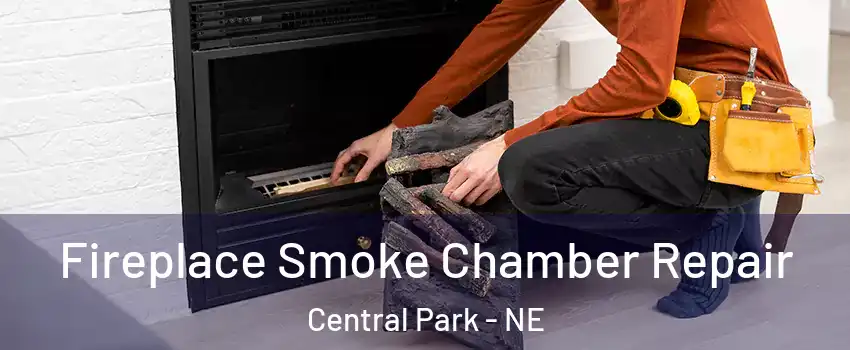 Fireplace Smoke Chamber Repair Central Park - NE