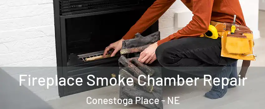 Fireplace Smoke Chamber Repair Conestoga Place - NE