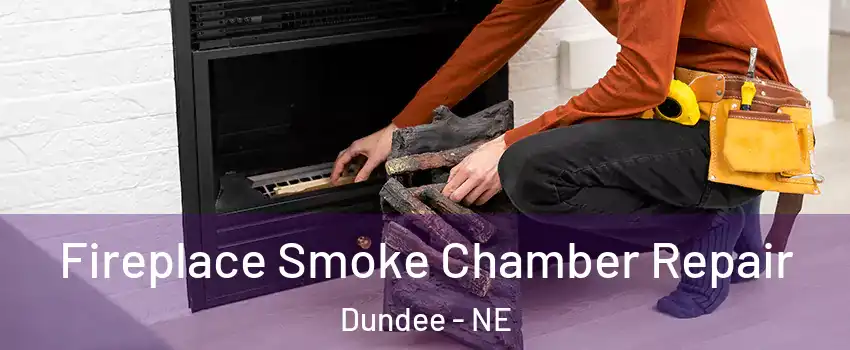 Fireplace Smoke Chamber Repair Dundee - NE
