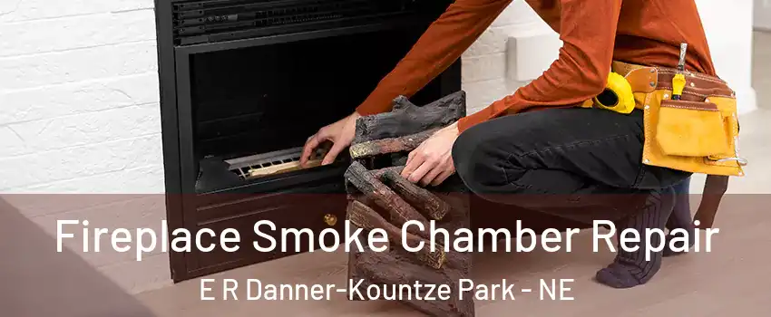 Fireplace Smoke Chamber Repair E R Danner-Kountze Park - NE