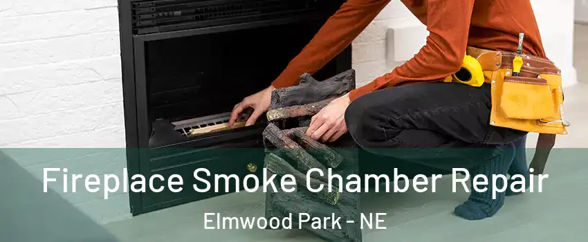 Fireplace Smoke Chamber Repair Elmwood Park - NE