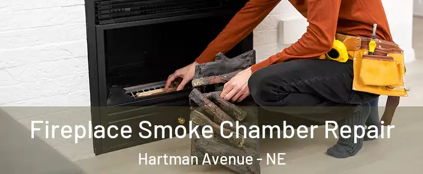 Fireplace Smoke Chamber Repair Hartman Avenue - NE