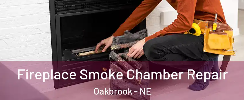 Fireplace Smoke Chamber Repair Oakbrook - NE
