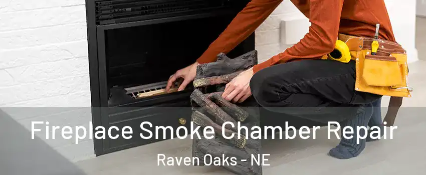 Fireplace Smoke Chamber Repair Raven Oaks - NE