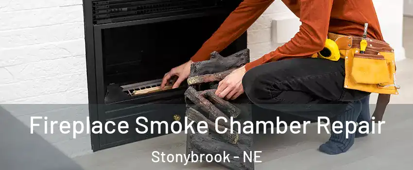 Fireplace Smoke Chamber Repair Stonybrook - NE