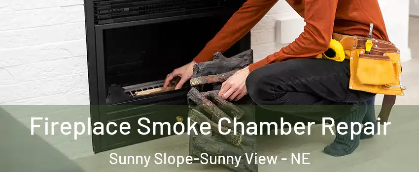 Fireplace Smoke Chamber Repair Sunny Slope-Sunny View - NE