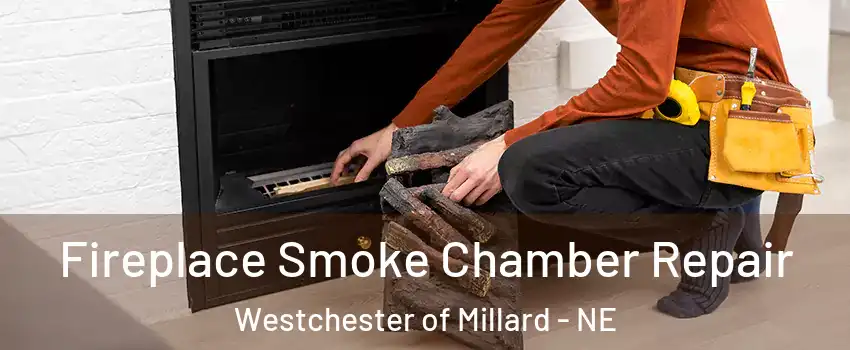 Fireplace Smoke Chamber Repair Westchester of Millard - NE