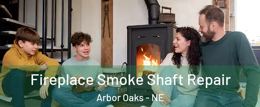 Fireplace Smoke Shaft Repair Arbor Oaks - NE