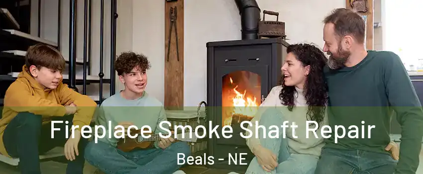 Fireplace Smoke Shaft Repair Beals - NE