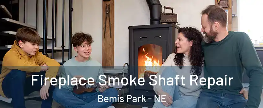 Fireplace Smoke Shaft Repair Bemis Park - NE