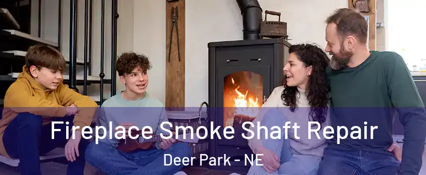 Fireplace Smoke Shaft Repair Deer Park - NE