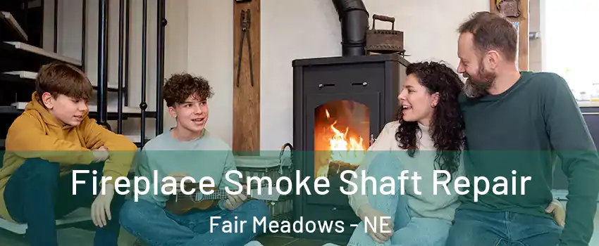 Fireplace Smoke Shaft Repair Fair Meadows - NE