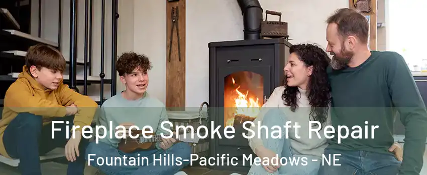 Fireplace Smoke Shaft Repair Fountain Hills-Pacific Meadows - NE