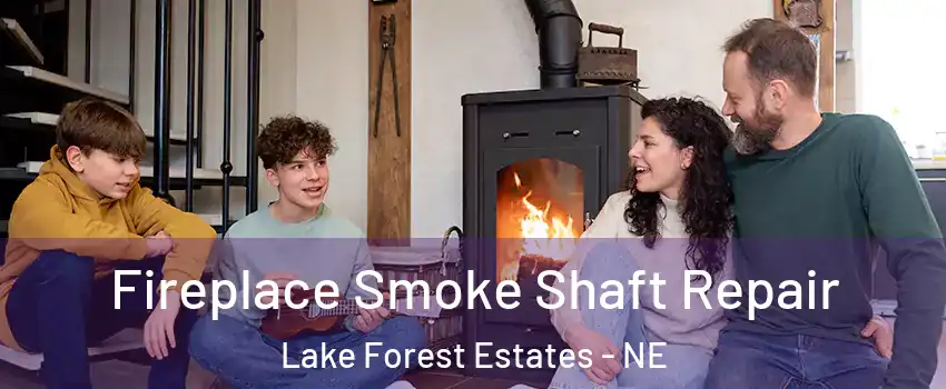 Fireplace Smoke Shaft Repair Lake Forest Estates - NE