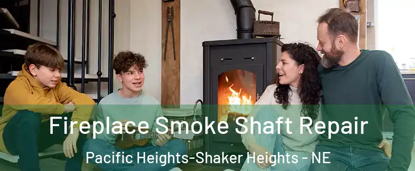 Fireplace Smoke Shaft Repair Pacific Heights-Shaker Heights - NE