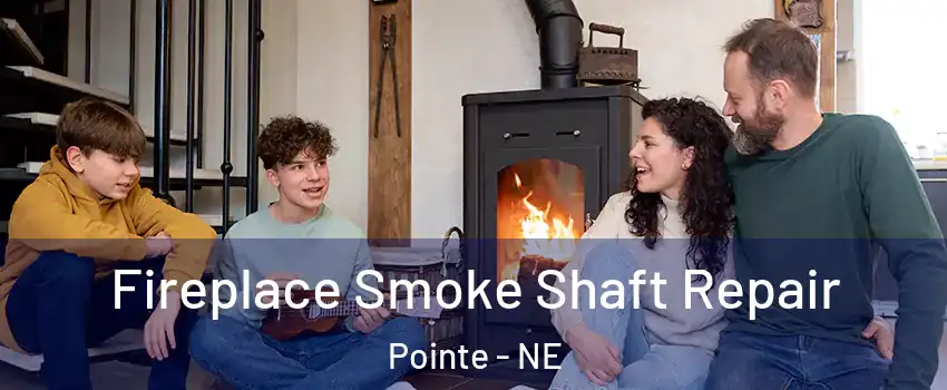 Fireplace Smoke Shaft Repair Pointe - NE