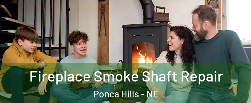 Fireplace Smoke Shaft Repair Ponca Hills - NE