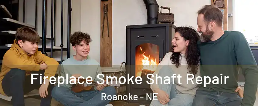Fireplace Smoke Shaft Repair Roanoke - NE