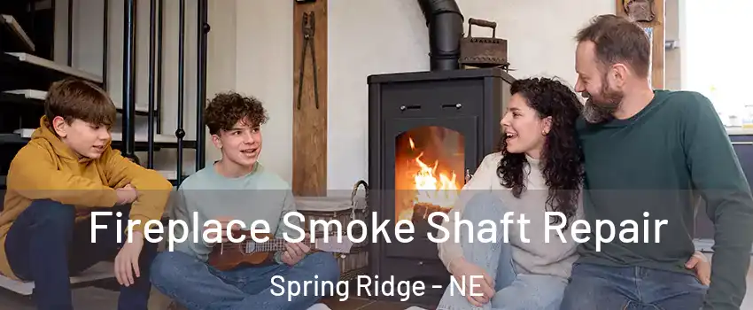 Fireplace Smoke Shaft Repair Spring Ridge - NE