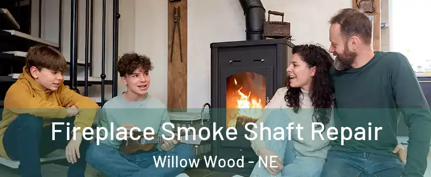 Fireplace Smoke Shaft Repair Willow Wood - NE