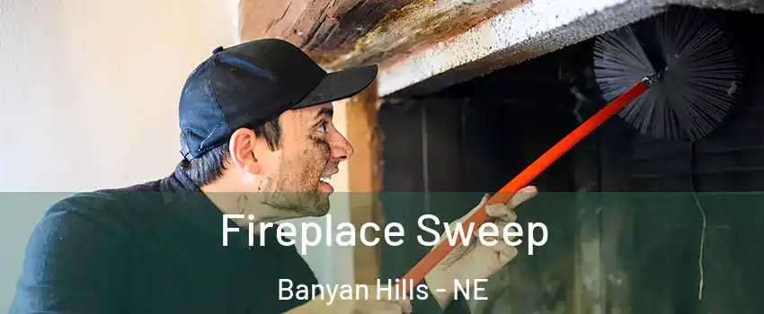 Fireplace Sweep Banyan Hills - NE