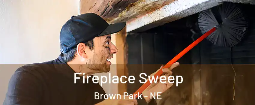 Fireplace Sweep Brown Park - NE