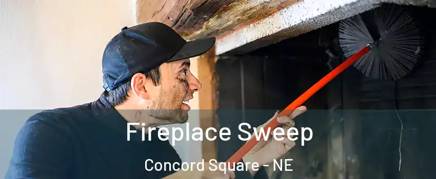 Fireplace Sweep Concord Square - NE