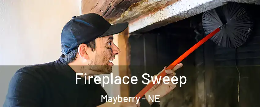 Fireplace Sweep Mayberry - NE