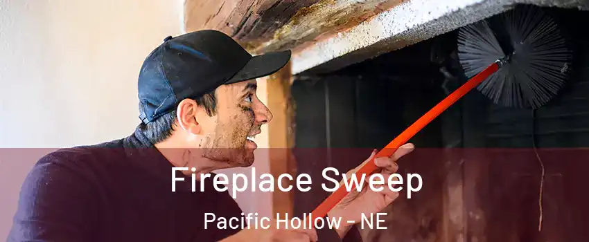 Fireplace Sweep Pacific Hollow - NE