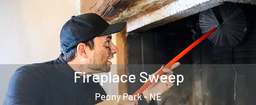 Fireplace Sweep Peony Park - NE