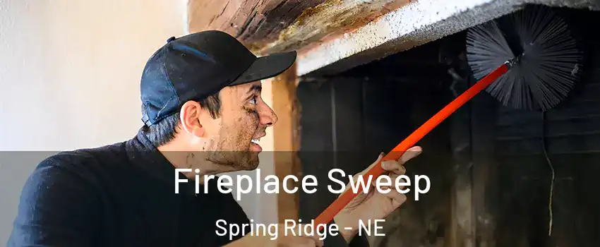 Fireplace Sweep Spring Ridge - NE