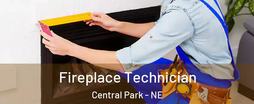 Fireplace Technician Central Park - NE