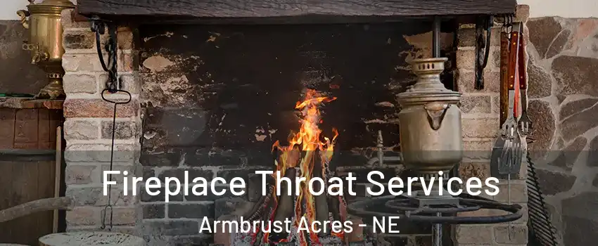Fireplace Throat Services Armbrust Acres - NE