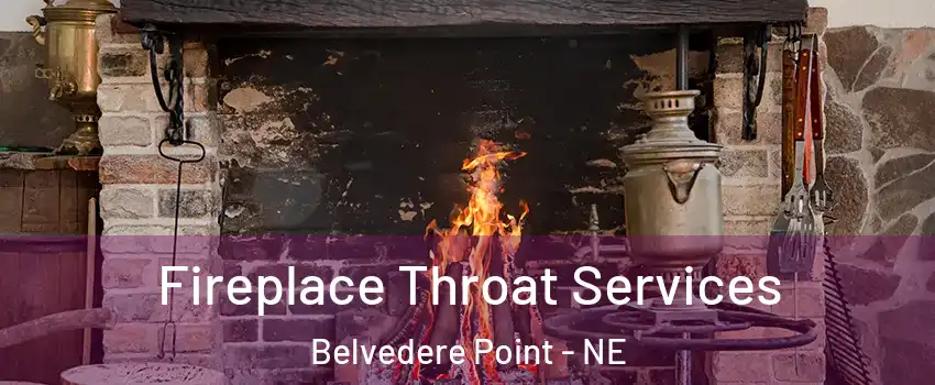 Fireplace Throat Services Belvedere Point - NE