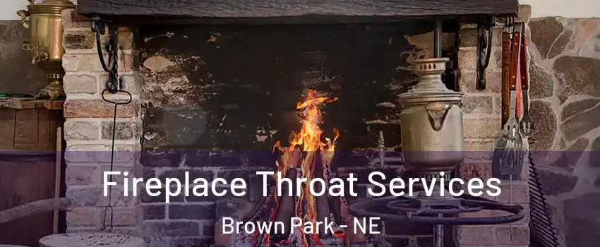 Fireplace Throat Services Brown Park - NE
