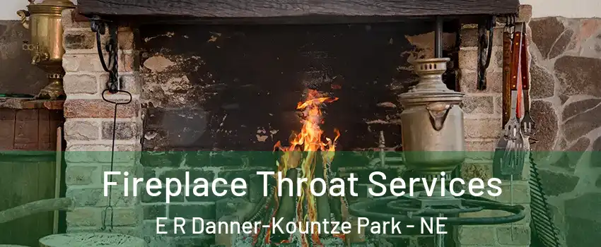 Fireplace Throat Services E R Danner-Kountze Park - NE